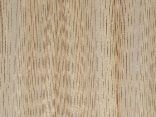 斑马木