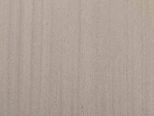 6125PN沙比利钢刷