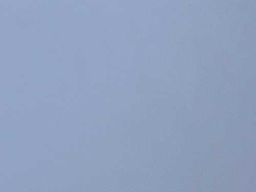 鸽子灰